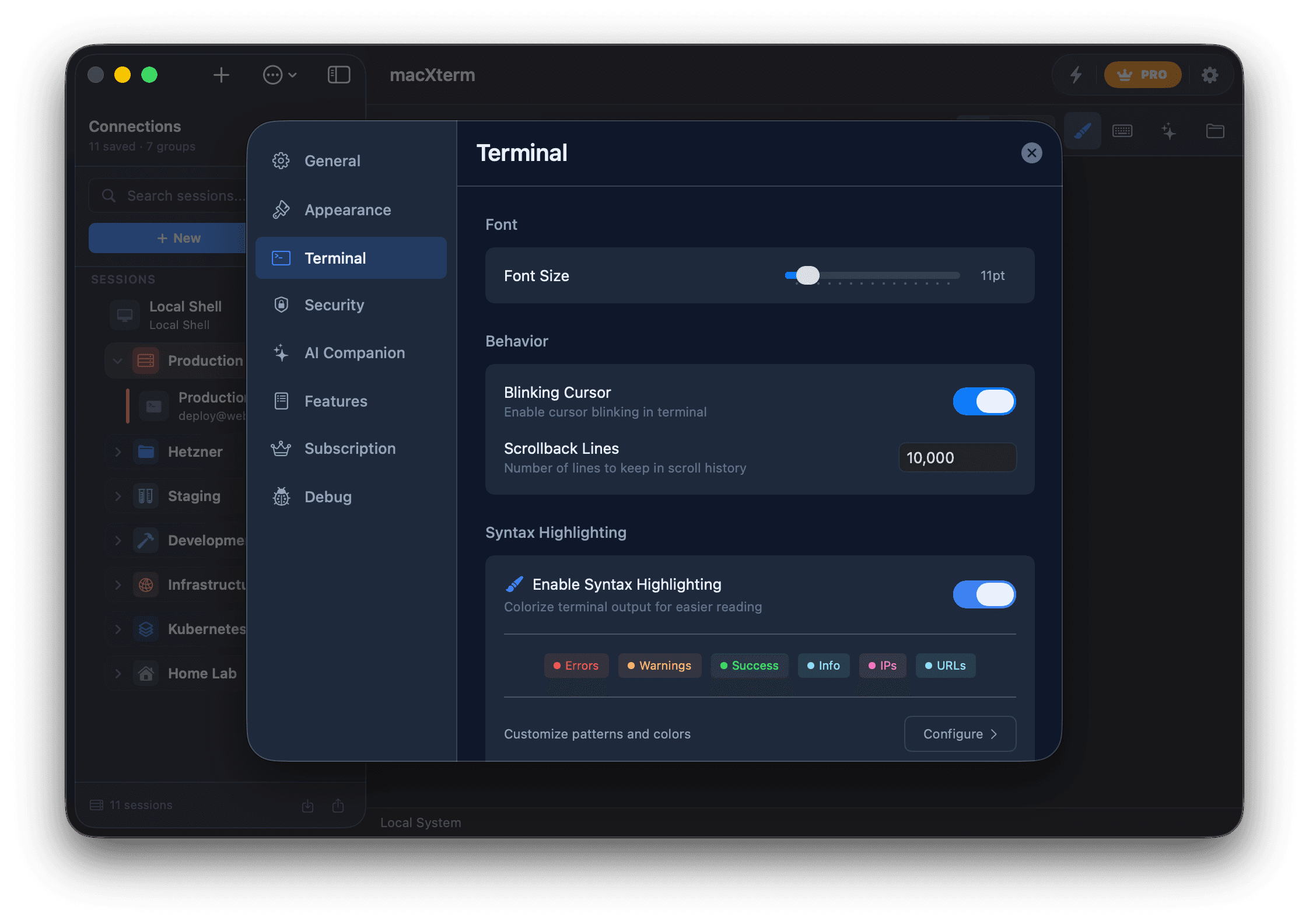 Terminal settings screen in macXterm